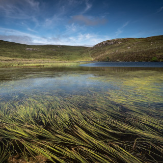 Improved water quality