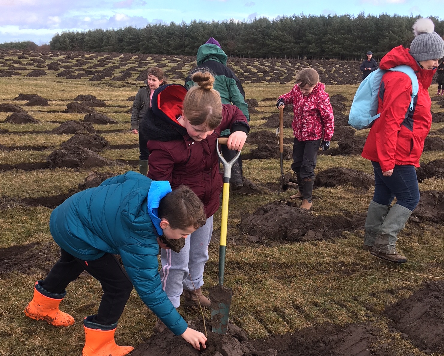 Children planting Doddington March 2018.jpg